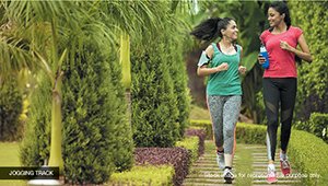 Palm Retreat-Sector 150_Flipchart V4-Blue - V2