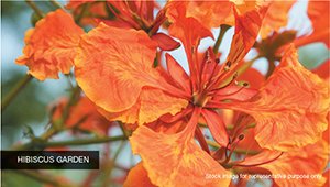 Palm Retreat-Sector 150_Flipchart V4-Blue - V2